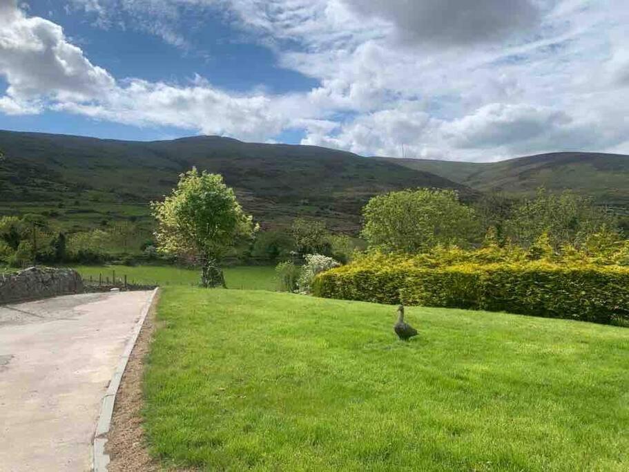 Mountain House Omeath Near Carlingford Villa O Meith Bagian luar foto