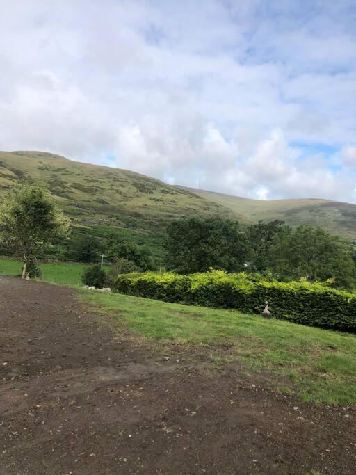Mountain House Omeath Near Carlingford Villa O Meith Bagian luar foto